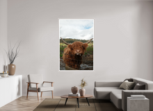Load image into Gallery viewer, 44 x 66″, Wooden Frame- White Highland Cow