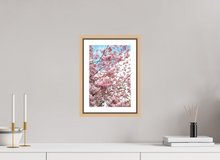 Load image into Gallery viewer, 8 x 12″, Wooden Frame- Natural Oak Spring in Scotland