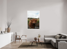 Load image into Gallery viewer, 36 x 54″, Wooden Frame- White Highland Cow
