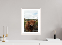 Load image into Gallery viewer, 10 x 15″, Wooden Frame- White Highland Cow