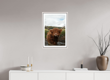 Load image into Gallery viewer, 16 x 24″, Wooden Frame- White Highland Cow