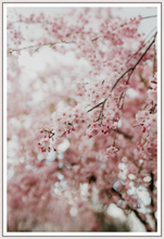 Load image into Gallery viewer, Main image Pittsburgh Spring