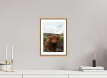 Load image into Gallery viewer, 8 x 12″, Wooden Frame- Natural Oak Highland Cow