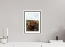 Load image into Gallery viewer, 8 x 12″, Wooden Frame- White Highland Cow