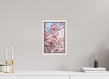 Load image into Gallery viewer, 8 x 12″, Wooden Frame- White Maple Spring in Scotland
