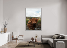 Load image into Gallery viewer, 44 x 66″, Wooden Frame- Black Matte Highland Cow
