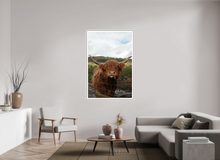 Load image into Gallery viewer, 40 x 60″, Wooden Frame- White Highland Cow
