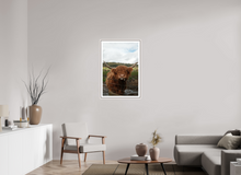 Load image into Gallery viewer, 24 x 36″, Wooden Frame- White Highland Cow
