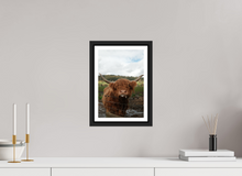 Load image into Gallery viewer, 8 x 12″, Wooden Frame- Black Matte Highland Cow
