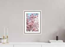 Load image into Gallery viewer, 8 x 12″, Wooden Frame- White Spring in Scotland
