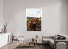 Load image into Gallery viewer, 44 x 66″, Wooden Frame- Natural Oak Highland Cow
